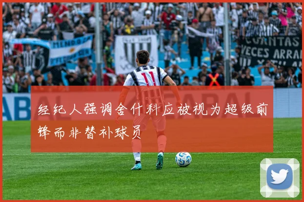 经纪人强调舍什科应被视为超级前锋而非替补球员